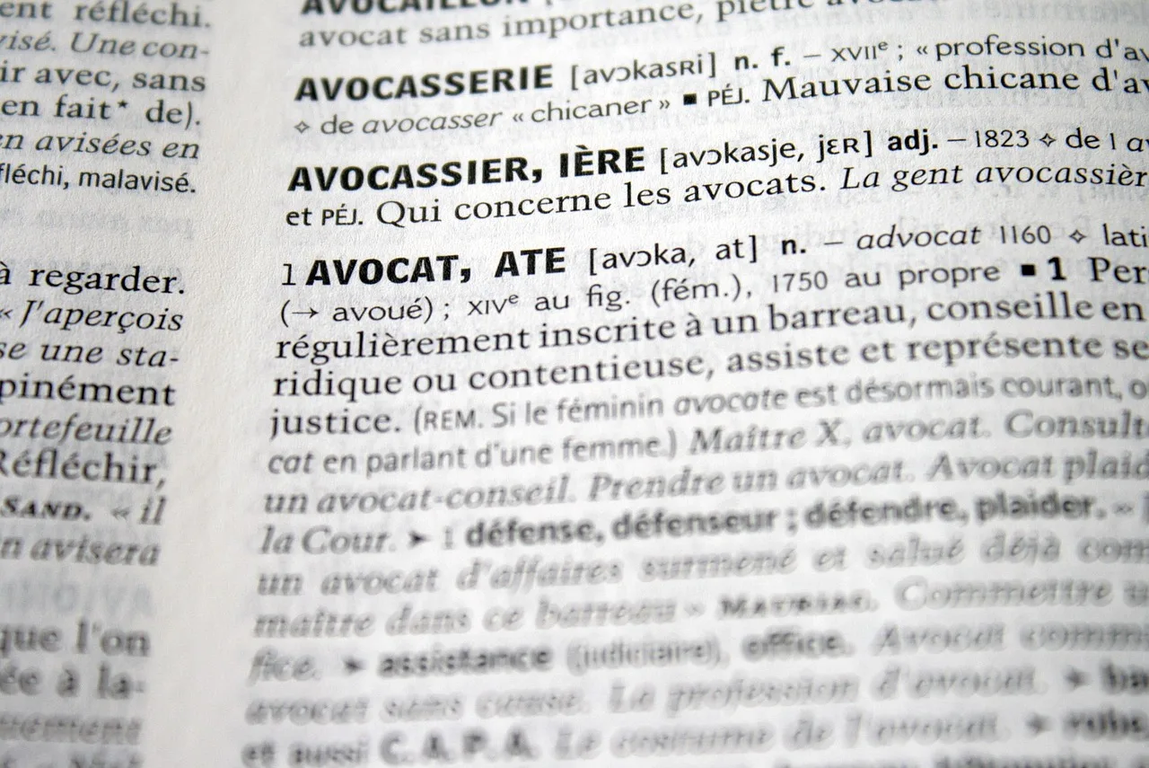 jurist, definition, ordbog, højre, retfærdighed, juridisk